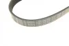 Ремень генератора Ford Focus 1.4/1.6 98-05/Toyota Rav4 1.8 00-05/Daewoo Nubira 1.8/2.0 99- (6PK1890) BOSCH 1 987 946 039 (фото 8)