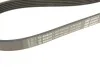 Ремінь генератора VW T4 2.5/2.5TDI 90-03 (6PK2060) BOSCH 1 987 946 042 (фото 7)
