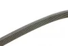 Ремень генератора MB C-class (W202/203)/E-class (W124/W210/211) M112/M113 (6PK2390) BOSCH 1 987 946 046 (фото 2)