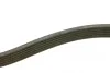 Ремень генератора Nissan Almera 2.0 00-03/ Primera 2.0 16V 96-01 (6PK1030) BOSCH 1 987 946 051 (фото 3)