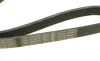 Ремень генератора Nissan Almera 2.0 00-03/ Primera 2.0 16V 96-01 (6PK1030) BOSCH 1 987 946 051 (фото 4)