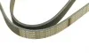 Ремень генератора Nissan Almera 2.0 00-03/ Primera 2.0 16V 96-01 (6PK1030) BOSCH 1 987 946 051 (фото 5)
