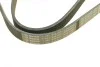 Ремень генератора Nissan Almera 2.0 00-03/ Primera 2.0 16V 96-01 (6PK1030) BOSCH 1 987 946 051 (фото 9)