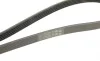 Ремень генератора Renault Laguna/Espace 3.0 93-02 (5PK1375) BOSCH 1 987 946 056 (фото 4)