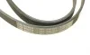 Ремень генератора Toyota Corolla 2.0D 99-03/ BMW 8 (E31) 4.5-5.0 90-99 (5PK1190) BOSCH 1 987 946 061 (фото 3)