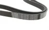 Ремень генератора VW Caddy 1.6-2.0TDI 15-/Peugeot 2008/306/307/406 1.2-1.6 03- (6PK1070) BOSCH 1 987 946 062 (фото 3)