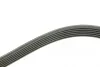 Ремінь генератора MB E-class (W124/W211)/ M-class (W164) (6PK2355) BOSCH 1 987 946 074 (фото 3)