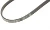 Ремень генератора Chevrolet/Fiat/Honda/Mazda/Mitsubishi/Nissan/Skoda/Subaru/Suzuki (4PK950) BOSCH 1 987 946 076 (фото 5)