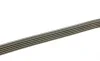 Ремень генератора BMW 3 (E46)/5 (E39)/7 (E38)/X5 (E53) 3.0D 98-05 (M57) (5PK2063) BOSCH 1 987 946 079 (фото 2)