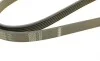 Ремень генератора Opel Frontera B 2.2 98-04 (6PK1850) BOSCH 1 987 946 080 (фото 5)