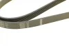 Ремень генератора Opel Frontera B 2.2 98-04 (6PK1850) BOSCH 1 987 946 080 (фото 7)