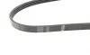 Ремінь генератора Mitsubishi Pajero 2.5 TD 90-/ L 200 2.5 96-07 (4PK1125) BOSCH 1 987 946 081 (фото 2)