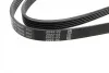 Ремень генератора Opel Astra G/H 2.0 05-10/Insignia 1.5 17- (5PK1680) BOSCH 1 987 946 086 (фото 8)