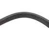 Ремень генератора Renault Laguna 2.0 95-01 (6PK1240) BOSCH 1 987 946 089 (фото 3)