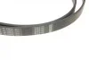 Ремень генератора BMW 5 (E34)/7 (E32/E38)/8 (E31) M60 92-/Land Rover Discovery 2.5TDI 90-98(7PK1605) BOSCH 1 987 946 091 (фото 7)