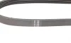 Ремень генератора Land Rover Freelander 1.8 16V 4x4 00-06 (5PK735) BOSCH 1 987 946 093 (фото 3)