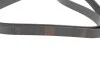Ремень генератора Opel Combo/Astra G 1.7DTi 01-/VW T4 2.0 90-03/Ford Mondeo 2.5 94-00 (6PK1590) BOSCH 1 987 946 096 (фото 2)