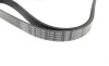 Ремень генератора Opel Combo/Astra G 1.7DTi 01-/VW T4 2.0 90-03/Ford Mondeo 2.5 94-00 (6PK1590) BOSCH 1 987 946 096 (фото 3)