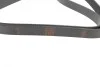 Ремень генератора Opel Combo/Astra G 1.7DTi 01-/VW T4 2.0 90-03/Ford Mondeo 2.5 94-00 (6PK1590) BOSCH 1 987 946 096 (фото 8)