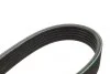 Ремінь генератора поліклиновий VW Golf/BMW/Ford/Opel (6PK1540) BOSCH 1 987 946 099 (фото 5)