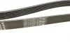 Ремінь генератора VW T5/Golf 2.3-3.2 V6 03-09/Audi A4/A6/Q5 2.0TDI 08-17 (6PK1264) BOSCH 1 987 946 102 (фото 2)