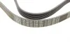 Ремінь генератора VW T5/Golf 2.3-3.2 V6 03-09/Audi A4/A6/Q5 2.0TDI 08-17 (6PK1264) BOSCH 1 987 946 102 (фото 3)