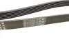 Ремінь генератора VW T5/Golf 2.3-3.2 V6 03-09/Audi A4/A6/Q5 2.0TDI 08-17 (6PK1264) BOSCH 1 987 946 102 (фото 8)