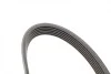 Ремінь генератора VW T5/Golf 2.3-3.2 V6 03-09/Audi A4/A6/Q5 2.0TDI 08-17 (6PK1264) BOSCH 1 987 946 102 (фото 9)