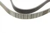 Ремінь генератора VW T5/Golf 2.3-3.2 V6 03-09/Audi A4/A6/Q5 2.0TDI 08-17 (6PK1264) BOSCH 1 987 946 102 (фото 10)