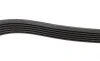 Ремінь генератора Ford Focus/Mondeo 2.0TDCi 14-/Fiat Bravo/Stilo 1.8/1.9D 07- (6PK1270) BOSCH 1 987 946 103 (фото 4)