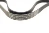 Ремінь генератора Ford Focus/Mondeo 2.0TDCi 14-/Fiat Bravo/Stilo 1.8/1.9D 07- (6PK1270) BOSCH 1 987 946 103 (фото 7)
