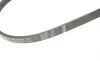 Ремінь генератора Fiat Doblo/Fiorino/Linea/Qubo 1.3JTD 04- (4PK1022) BOSCH 1 987 946 124 (фото 5)