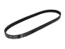 Ремень генератора Ford Focus/Fiesta/Fusion/Mazda 2 1.25-1.6 98- (6PK1042) BOSCH 1987946125 (фото 1)