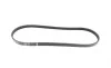 Ремень генератора BMW 3 (E46)/X3 (E83) 01-07/Fiat Stilo 1.6 16V 01-08 (4PK917) (M47) BOSCH 1 987 946 127 (фото 5)