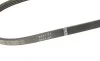Ремень генератора Renault Kangoo/Logan 1.4/1.6 04-/Lada Largus 1.6 12- (4PK916) BOSCH 1 987 946 129 (фото 4)