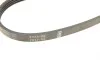 Ремень генератора Fiat Ducato 2.3JTD 02-14 (4PK903) BOSCH 1 987 946 133 (фото 4)