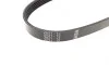 Ремень генератора Ford C-Max/ Focus/ Volvo S40 1.8-2.0 06-12 (5PK705) BOSCH 1 987 946 134 (фото 2)