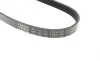 Ремень генератора Ford C-Max/ Focus/ Volvo S40 1.8-2.0 06-12 (5PK705) BOSCH 1 987 946 134 (фото 3)