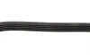 Ремень генератора Ford C-Max/ Focus/ Volvo S40 1.8-2.0 06-12 (5PK705) BOSCH 1 987 946 134 (фото 4)