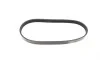 Ремень генератора Ford C-Max/ Focus/ Volvo S40 1.8-2.0 06-12 (5PK705) BOSCH 1 987 946 134 (фото 5)