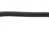Ремень генератора Ford C-Max/ Focus/ Volvo S40 1.8-2.0 06-12 (5PK705) BOSCH 1 987 946 134 (фото 7)