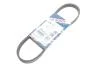 Ремень генератора Ford Focus C-Max 1.8 03-07 (5PK711) BOSCH 1987946136 (фото 2)