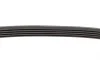 Ремень генератора Ford Fiesta/Fusion 1.25/1.4/1.6 01-12 (5PK690) BOSCH 1 987 946 141 (фото 4)