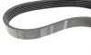 Ремінь генератора Ford Fiesta/Fusion 1.25-1.6Ti 01- (6PK1019) BOSCH 1 987 946 142 (фото 3)