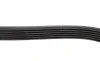 Ремінь генератора Ford Fiesta/Fusion 1.25-1.6Ti 01- (6PK1019) BOSCH 1 987 946 142 (фото 4)