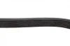 Ремінь генератора Ford Fiesta/Fusion 1.25-1.6Ti 01- (6PK1019) BOSCH 1 987 946 142 (фото 8)