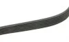 Ремень генератора Audi A3/Skoda Octavia/VW Passat B8 1.6TDI/2.0TDI 12-/Caddy 2.0TDI 15- (6PK799) BOSCH 1 987 946 144 (фото 3)