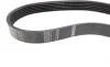 Ремень генератора Ford Mondeo IV 1.6 Ti 10-15 (6PK1034) BOSCH 1 987 946 147 (фото 2)