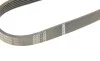 Ремінь генератора Seat Ibiza 15-/VW Polo 1.0/1.6 14-/Skoda Fabia 14- (6PK701) BOSCH 1 987 946 152 (фото 4)