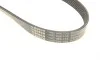 Ремень генератора Citroen C3/C4/Peugeot 208/308 1.0/1.2 12- (6PK848) BOSCH 1 987 946 155 (фото 5)